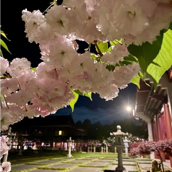 Meet your Posher, Lisa.  Hi everyone!! I hope u like my closet!! - Picture 13 of 16